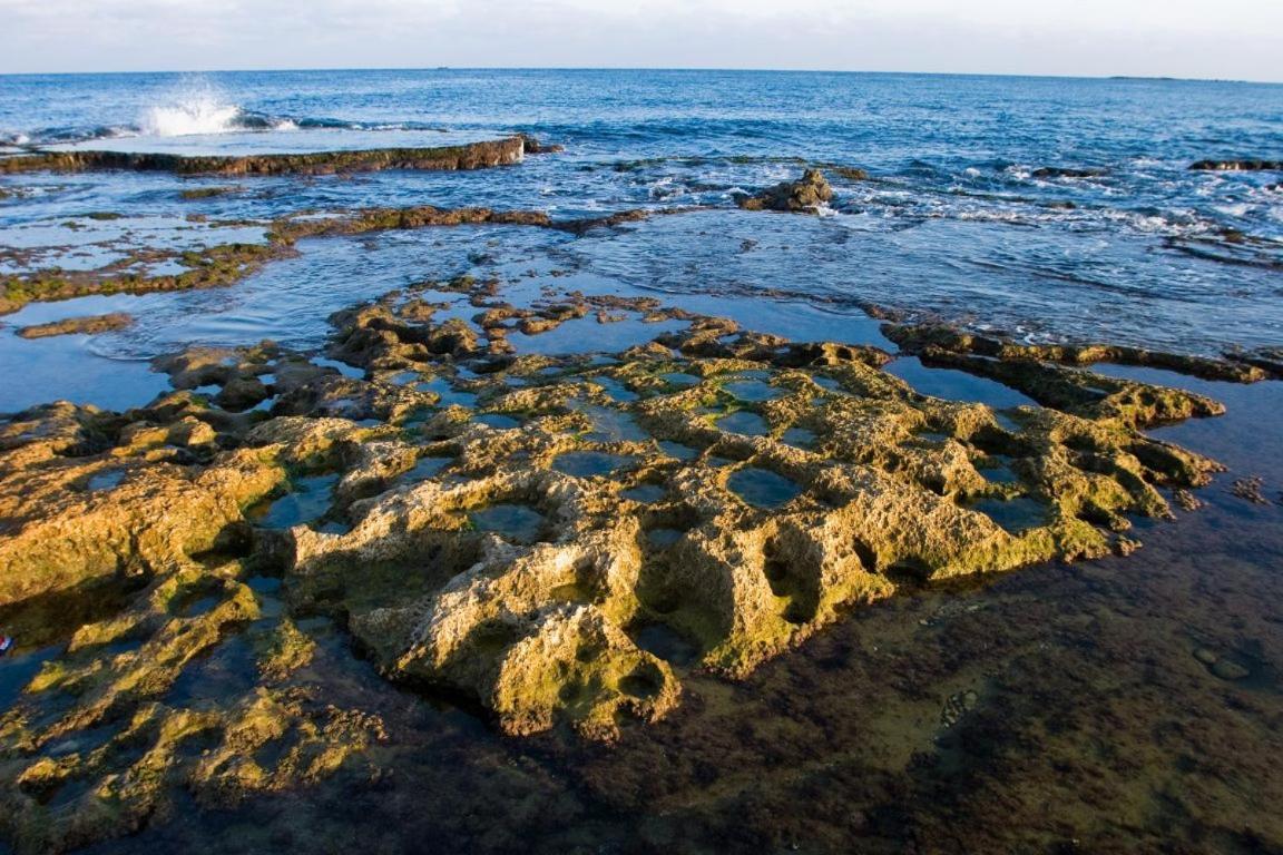 Achziv Sea & Sun Lägenhet Gesher HaZiv Exteriör bild